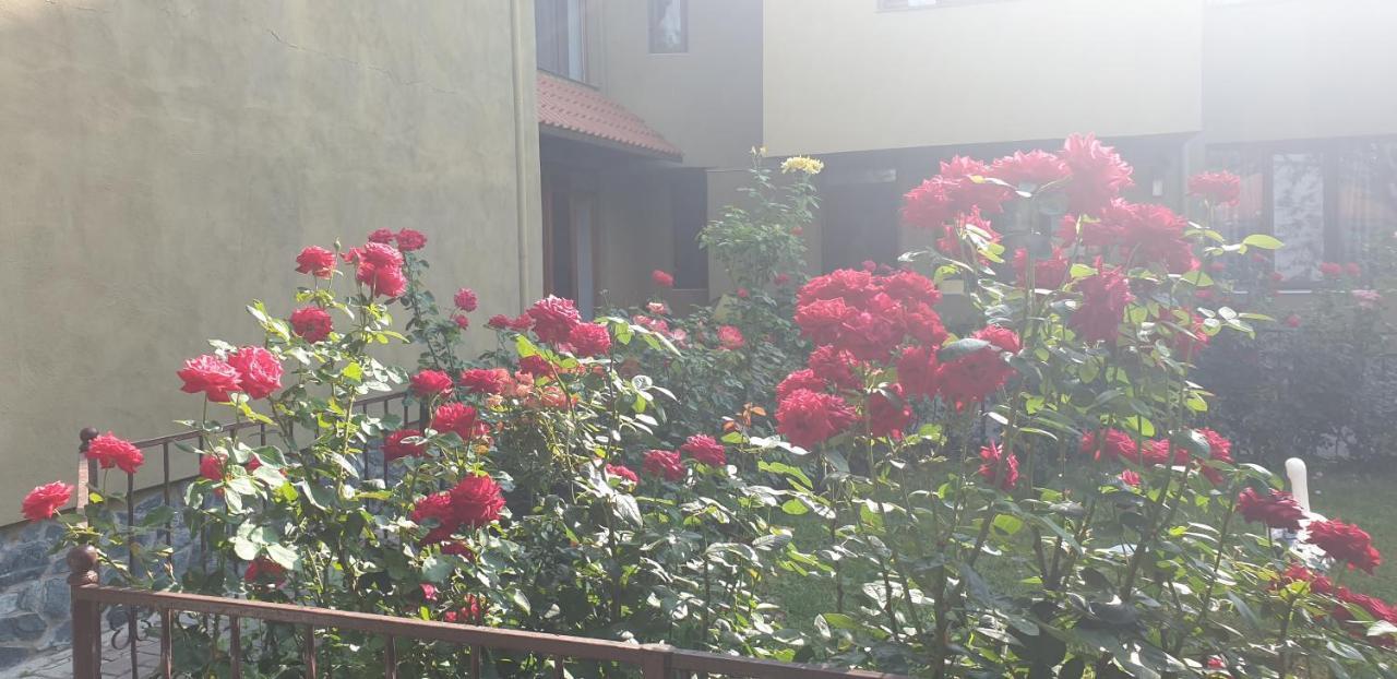 Villa Mugur Două Mai Dış mekan fotoğraf