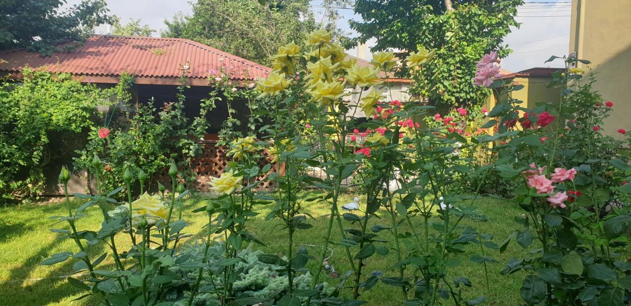 Villa Mugur Două Mai Dış mekan fotoğraf