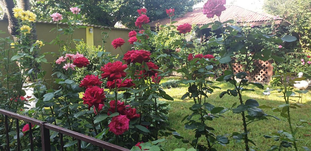 Villa Mugur Două Mai Dış mekan fotoğraf